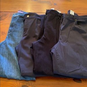 14 Petite Pants Bundle